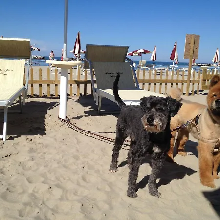 Delle Dune 3* Bellaria-Igea Marina