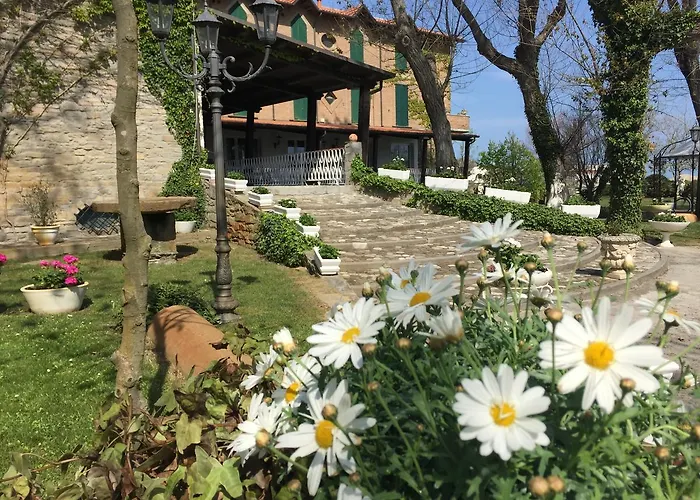 Delle Dune Szálloda Bellaria – Igea Marina