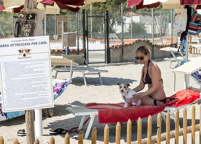 Delle Dune Szálloda Bellaria – Igea Marina