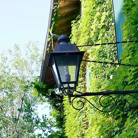 Delle Dune Hotel Bellaria-Igea Marina