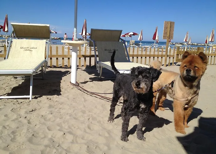 Delle Dune 3* Bellaria-Igea Marina